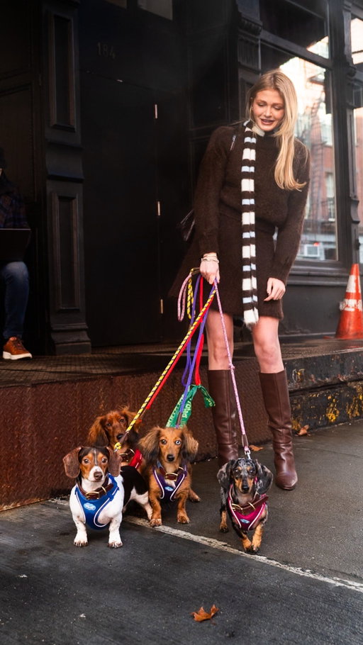 Finley, Oslo, Rusty, & Roxy – Dachshunds, Duane & Greenwich St, New York, NY • “I started with Finley; she was my OG. Then Oslo, and then Rusty – we adopted him from a shelter in Michigan. He’s blind; he is the most joyous, happy dog. I don’t think he has any idea he’s blind. And then Roxy – we got her from the same shelter in Michigan we got Rusty. We are done; we are so done. I’ve said that every year for the last three years, but we’re actually done. She (Finley) is super entitled. If I try to have them sleep on a dog bed, they won’t. They’re always on the couch. They entertain me. I feel like I’m always glued to my phone and a screen, and I will literally put my phone down and play with them for hours. They also create good structure in my life. Every morning, you get up early and let them out and start your day.” @halleykmcg