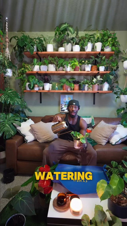 Sh*t I’m not doing as a plant parent in 2026.
Root rot doesn’t have a comeback tour.
Save this before you love another plant to death 🪴

#PlantParent #PlantCareTips #plantsofinstagram
