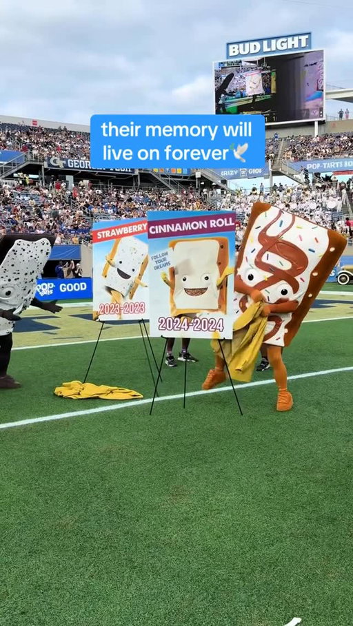 pour one out for the mascots who literally gave it their all. 

#poptarts #poptartsbowl #ptbowl #rip