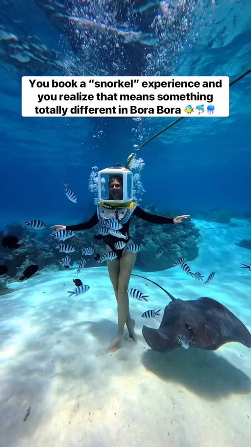 Follow @megsandpat for more travel inspo and bucket list adventures!

Bora Bora has a lot more than resorts including tons of cool stuff to do like this Aqua Safari.

If you have ever wondered what being an astronaut or a 19th century diver feels like this excursion is for you. They put this dive helmet on you and then fill it with pressurized air as they lower you into the water so you can breath normally.
Because the helmet is air filled its kind of floaty so you end up being lighter and able to jump around like its space.

I know it looks funny but the views were amazing!  Bora Bora’s water is so clear its incredible. 
If you have never scuba dived this is a great way to see what yours missing!
check out that ray

🐟💙
#AquaSafari @windstarcruises