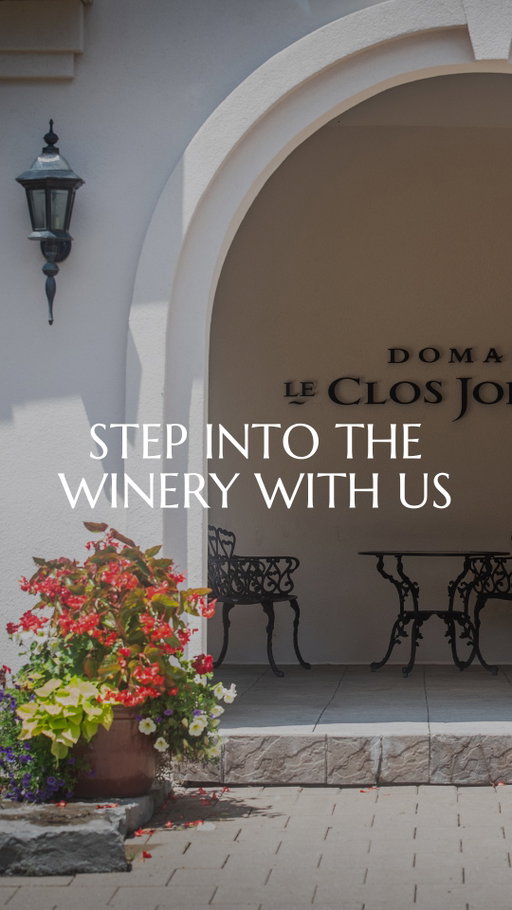 Tour Le Clos Jordanne with our Estate Manager, AJ. This is what makes our winery so special. ⁠
⁠
Join us in 2026 for the full experience, book your tasting journey through the link in our bio.⁠
⁠
#DLCJ #NiagaraWinery #NiagaraEstate #TerroirWine #NiagaraTerroir⁠
#Winery #WineryTour #WineTour #WineExperience