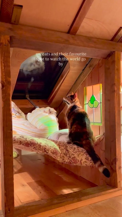 The mini loft net under the window was the best addition 🐱 ✨

When we created the loft net for us to sit on I knew I wanted to add a mini one for our cats! Of course they could use the huge one for humans too but I thought it would be so cosy if they got their own and they love it so much. They’ve spent many years enjoying it now on gloomy days and sun-filled ones too! They love to watch the birds and the raindrops especially and I’m so happy they have such a lovely little spot to do that from.

It’s one of life’s little joys to watch them on this whilst I enjoy my coffee in the morning or curled up with my herbal tea in bed at night 🥹✨

#loftnet #hammock #calico #blackcat #catlovers