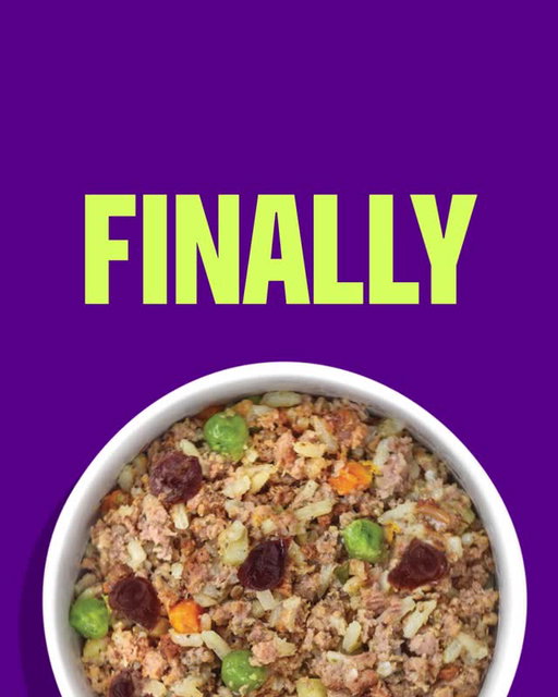 Meet your dog’s NEW obsession! 🐶💚⁣
 ⁣
Wellness Protein Bowls are delicious meals crafted with high quality proteins and wholesome, visible veggies & grains in every bite. ⁣
⁣
Each of our 8 unique recipes are slow-cooked to perfection, creating a mouthwatering aroma that smells just like home cooking 🌾🥕🥩⁣
⁣
✨Chicken, Quinoa & Pumpkin⁣
✨Beef, Red Pepper & Egg ⁣
✨Duck, Sweet Potato & Cranberries⁣
✨Chicken, Potato & Peas⁣
✨Turkey, Cranberries & Peas⁣
✨Beef, Potato & Green Beans⁣
✨Lamb, Red Rice & Peas⁣
✨Salmon, Whitefish & Rice⁣

Wellness Protein Bowls are now available at PetSmart stores in the US and Canada. @petsmart @petsmartcanada 
⁣
#wellnesspetfood #dogfoodie #realfoodfordogs