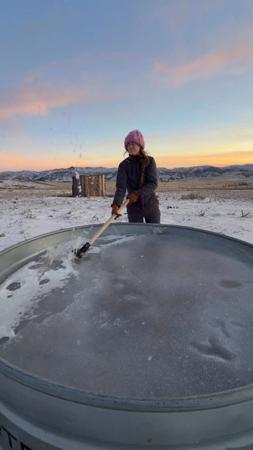 sorry for being so quiet lately, i’ve been in a weird headspace and tried to slow down for a little bit❤️‍🩹

.

.

.

#montana #homestead #asmr #vlog #cowsofinstagram