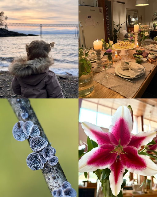 Year in review, inspired by @veggiekins 

Being in my 30’s, I feel like I learn more about myself in a year than I did through the entirety of my 20’s. 

I find myself really grateful for my community, far and wide, and what community has come to mean to me over the last year. I have endless appreciation for the people who have helped shape my idea of what I want my friendships to look like, and the type of friend I want to be.

I feel proud of who I am now, while having compassion for previous versions of myself. I feel more balanced in how I view past relationships, arguments, and mistakes. I feel open to learning new things, showing up for the sake of it, and realizing where I need to commit to myself and my positive habits more. 

I feel grateful for my kids, my family, and my partner. The feeling of being grounded by my family is one I do not take for granted - nothing is ever so bad when you have a toddler making you laugh, a parent listening to you complain, and a partner helping you through all the small and big things that make life hard. 

I love this life, and all I want is more of it - the good, the bad, the in between - unless @jessicarsipos is reading this, in which case don’t get any ideas about micro-cementing another shower because I’m deadass never doing that again