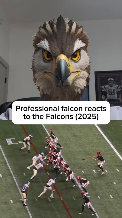 Translation: “Bijan Robinson is the best RB in the NFL”
•
•
#NFL | #comedy | #falcons