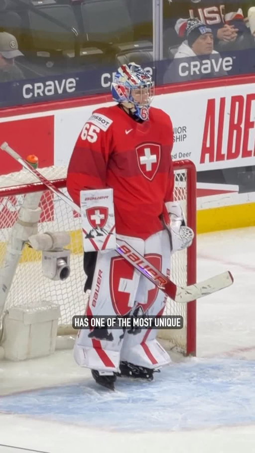 What are your opinions on this for a goalie? 🥅
