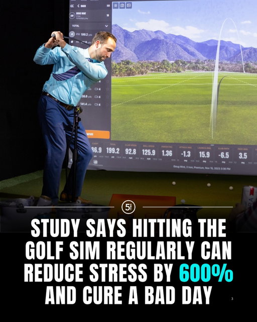 According to experts (us), skipping the sim is scientifically unwise.