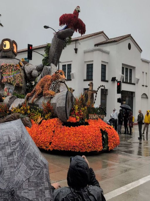 Happy New Year L.A.! 🌧️🌹

#roseparade #pasadena