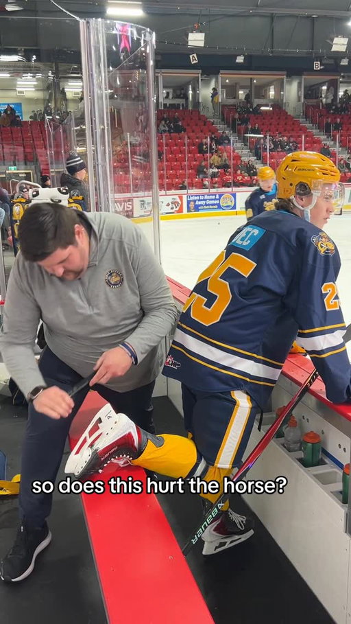 does it hurt?

#ErieOtters #OttersHockey