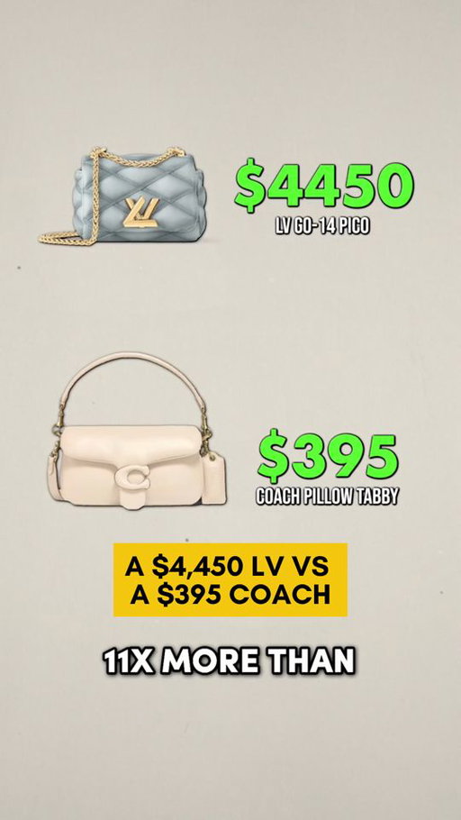 Louis Vuitton and Coach are closer in product quality than most people expect. What separates them is perception, theater, status, and the price of desire.

#LouisVuitton #Coach #CoachBags #LuxuryBags #LuxuryReview #FashionReels #BagLovers #LuxuryEducation #TannerLeatherstein