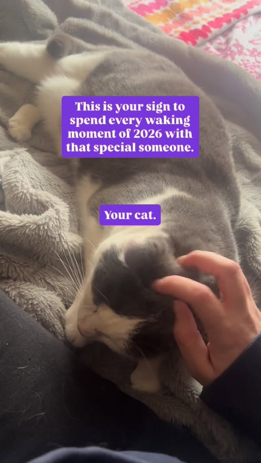 Signed,
Your Cat 🐈 
#wellnesspetfood #catsofinstagram #cats