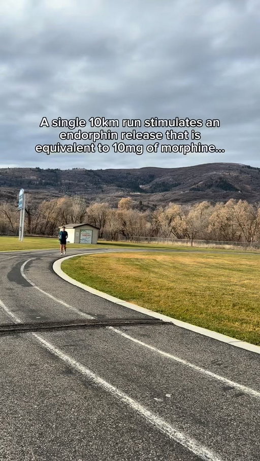 That “runner’s high” isn’t a myth.

Longer efforts like a 10K trigger a massive endorphin + endocannabinoid release… your body’s natural painkillers and mood boosters.

That’s why:
• stress drops
• pain feels muted
• your mind gets quiet
• you feel weirdly euphoric after

It’s not just fitness.
It’s neurochemistry.

And the best part?
No crash. No comedown. Just better sleep, clearer thinking, and momentum.

People chase this feeling in a lot of unhealthy ways.
Running gives it to you for free.

Read that again.

If you’ve ever felt mentally lighter after a run —
that’s why.

👉 Comment “GUIDE” for my FREE hybrid athlete guide 

🏃‍♂️🧠

#running #runnershigh #mentalhealth