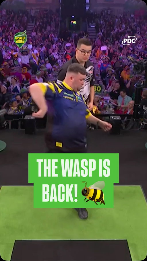Mr Wasp… we’ve been expecting you 🐝