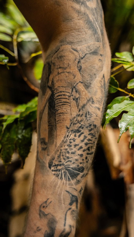 RIP et avec moi pour toujours 🙌🏻🕊️🐘
Craig faisait parti intégrante de ce projet de tatouage. 
En étant l’un des derniers grands tusker de la planète il était devenu un symbole pour la préservation et tous les autres animaux. 

Chaque moment a ses côtés on avait l’impression que le temps s’arrêtait. 

Réaliser cette photo de lui était un rêve pour moi. Un animal aussi majestueux avec des défenses qui touchaient le sol, sans doute que le monde n’en connaîtra plus et pourtant et ils étaient si nombreux avant. 

Voila pourquoi il était et restera un symbole fort. 

Beaucoup de personnes sont tristes, tous ceux et celles qui avaient eux la chance de le rencontrer savent combien il était si calme. 

Bon voyage grand frère 🕊️🙌🏻🐘

Tatouage by @michaelmusin 

#RIPCraig #Craig #Amboseli