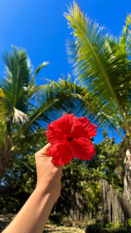 priorities I guess 

I’ll take dollar store soup and a trip to Fiji over a 5 star restaurants ANYDAY 
✈️🌎🌴🌺🌞🐠🏄🏼‍♀️⛰️🌈🦋🪸⛵️

it’s the little things that add up xx 

#solotravel #travelhack #exploretheworld #moneymindset #priorities