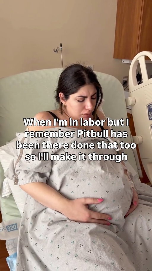 Words of encouragement during labor ✨🎉 thanks @pitbull 

•

#pregnant #pregnancy #funny #pregnantlife #labor #pitbull