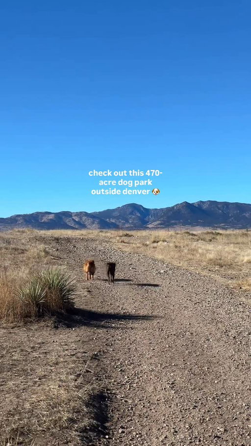 Hello gorgeous! 🗻🤍 Check out the Westminster Hills Off-Leash Dog park! 

📍 10499 Simms St., Westminster, CO 80005
(25ish min from denver)
🎟️ free entrance + parking
☀️ warm months: no shade + watch out for rattlesnakes

This is a partially fenced, 470-acre area with tons of walking trails. Dogs can run off leash!

#denver #colorado #dogfriendly