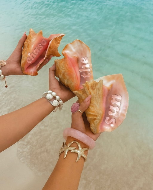 chase the sun!!! the glow just before dusk, the moments between waves, and light finding it’s way back… ⭐️🌺💫🌞