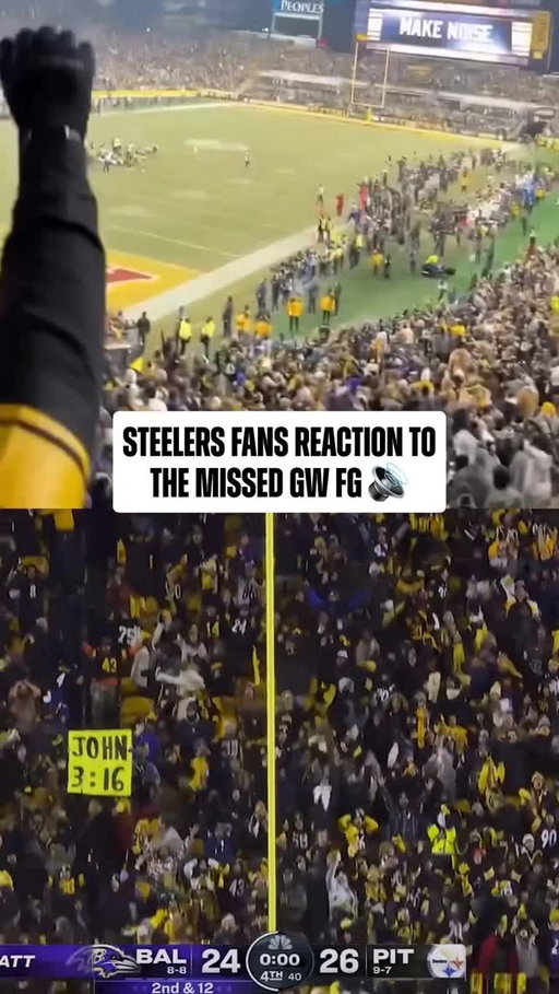 They went crazy 😂 

(via @steelersnationnfl)