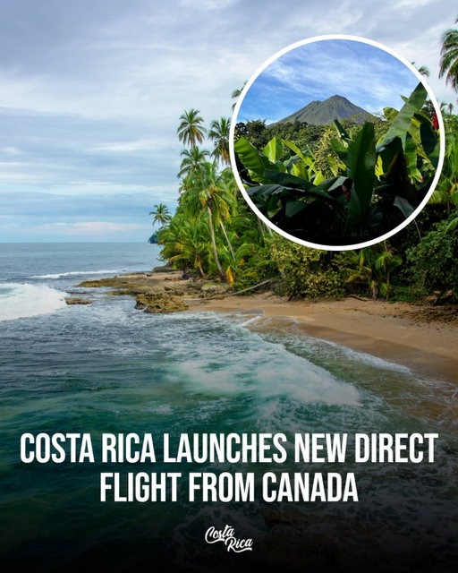 Costa Rica just got more accessible from Canada this winter.🇨🇷

💡The new direct WestJet flight between Vancouver and Guanacaste launched in December 2025, boosting air connectivity between Canada and Costa Rica’s Pacific coast. The weekly service operates Fridays through April 24, 2026, making beach trips and adventure travel easier and more appealing for Canadians escaping winter. 

Would you take a direct flight from Canada to Costa Rica this winter? ✈️👇
