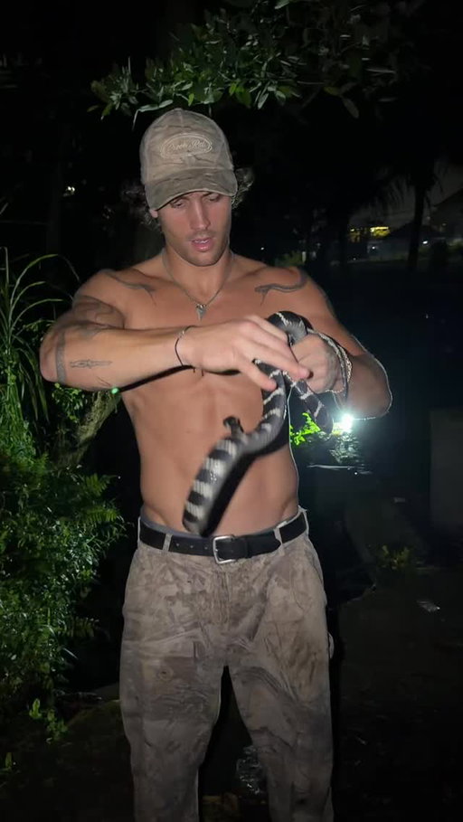 He in fact was not kidding. (Mangrove cat snake)