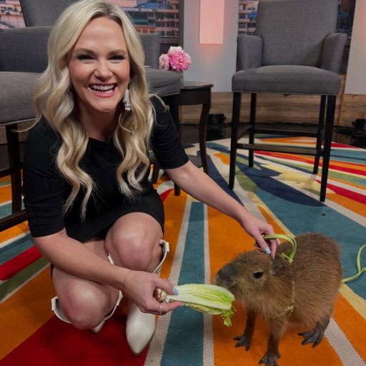 A capybara joined us on the show today!