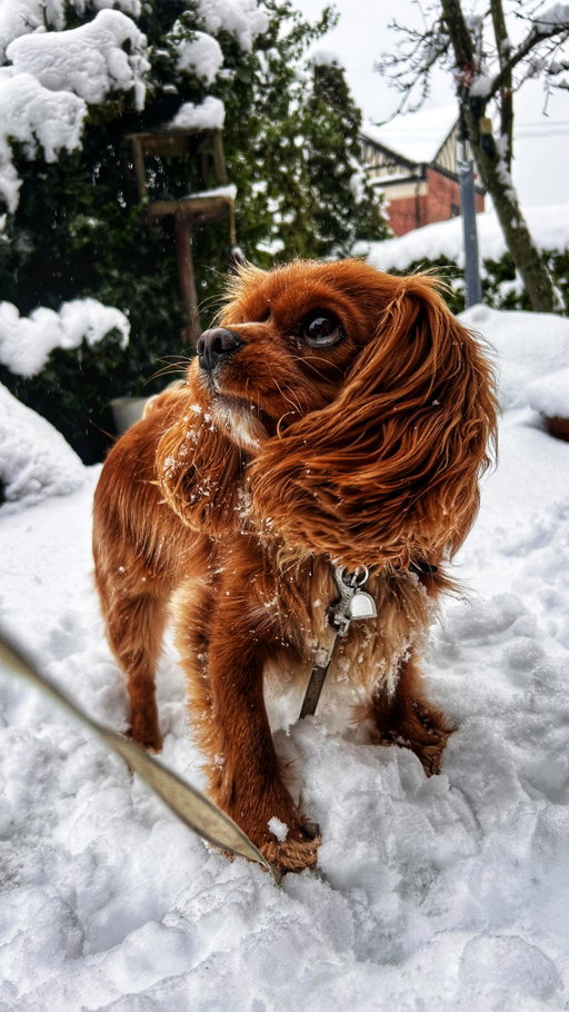 Us when there’s the slightest drop of snow ❄️ 😂

🎥 georgiamayofficial 

#leeds #snowdays #visitleeds #viral #snow