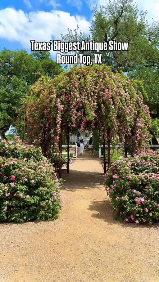 There is truly nothing like the Round Top Antique Show in Texas! In both winter and spring of 2026, this small town turns into one of the largest antique shopping events in the country.

The Winter Show takes place January 22–25, 2026, followed by the Spring Show from March 14–28, 2026. During these dates, miles of tents, barns, and open-air markets line the countryside with thousands of vendors from across the U.S. and beyond.

Expect an overwhelming amount of antiques, vintage finds, home décor, furniture, art, collectibles, and truly one-of-a-kind pieces you will not see anywhere else. Whether you are a serious collector or just love browsing and soaking in the atmosphere, Round Top delivers unmatched energy, incredible photo ops, and that signature Texas charm that makes the experience unforgettable!

Pro tip come with comfortable shoes, patience, and an open mind because you never know what you might stumble upon. 🤠🛍️✨

#roundtop #roundtopantiqueshow #exploretexas #texas #texastodo