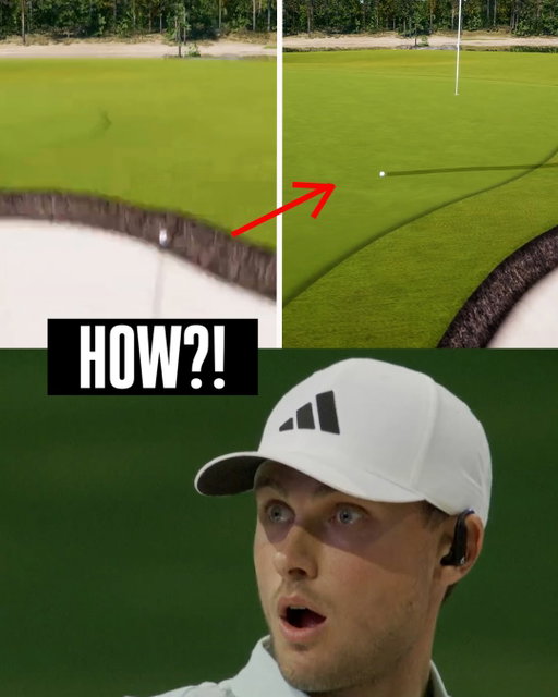 (Ludvig isn’t quite sure either.)

📺 @TGLGolf on ESPN