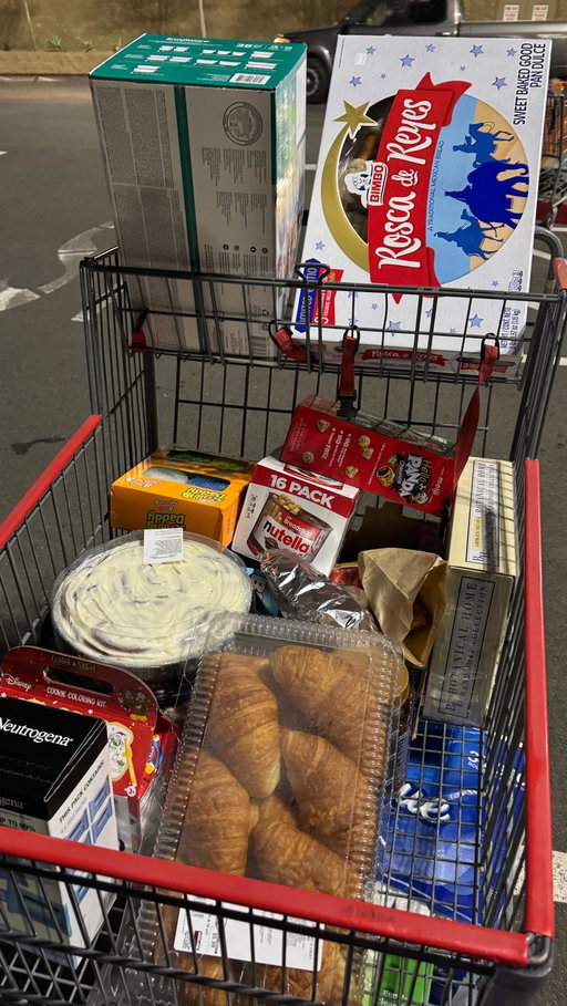 grocery shopping with 2 kids 😅