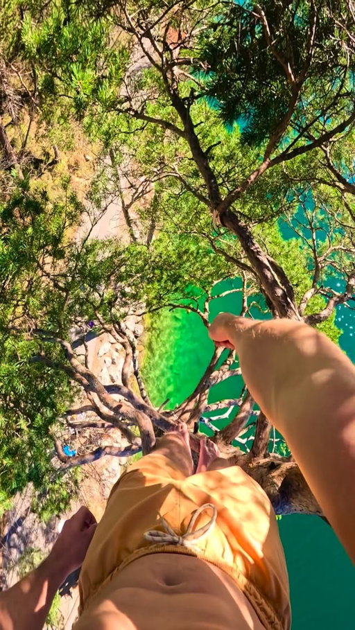 Tree Precision Jump 😍🎯💦 

In November last year it was surprisingly warm here in the Alps and we decided to do a jump of this famous tree in the beautiful green water 😮‍💨 a very scenic view. Some visitors came by and even noticed us from ninja warrior.