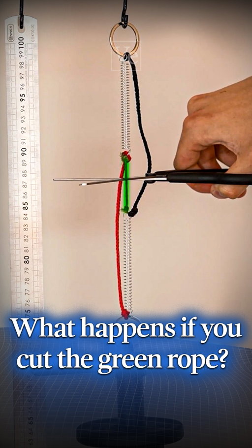 What will happen to the weight if you cut the green rope?

Written by @gregor_cavlovic and Derek Muller

Produced and directed by @gregor_cavlovic 

Hosted by Derek Muller and @gregor_cavlovic 

#science #veritasium #physics #experiment