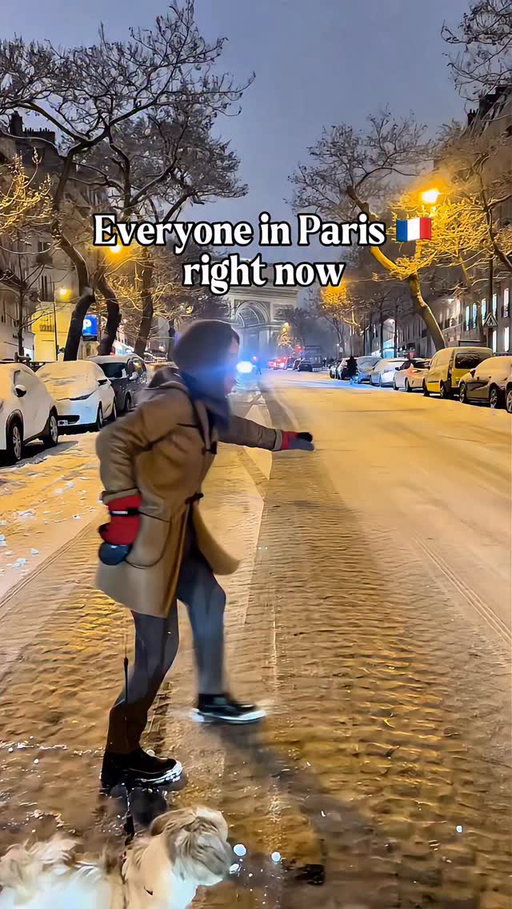 When Paris becomes a snowy ice slope everybody walks like Mickael Jackson in Thriller and the city becomes a giant Parisian winter chaos 🤣
It snowed so much in Paris that walking is no longer an option 😂
Everyone is sliding, drifting, and fighting for balance in front of the Arc de Triomphe.

Winter in Paris: 0 elegance, 100% survival mode!

‼️BOOK MY SHOW IN ENGLISH IN PARIS: OH MY GOD SHE’S PARISIAN! 

#parislife #parisian #snowinparis #humour #winterinparis