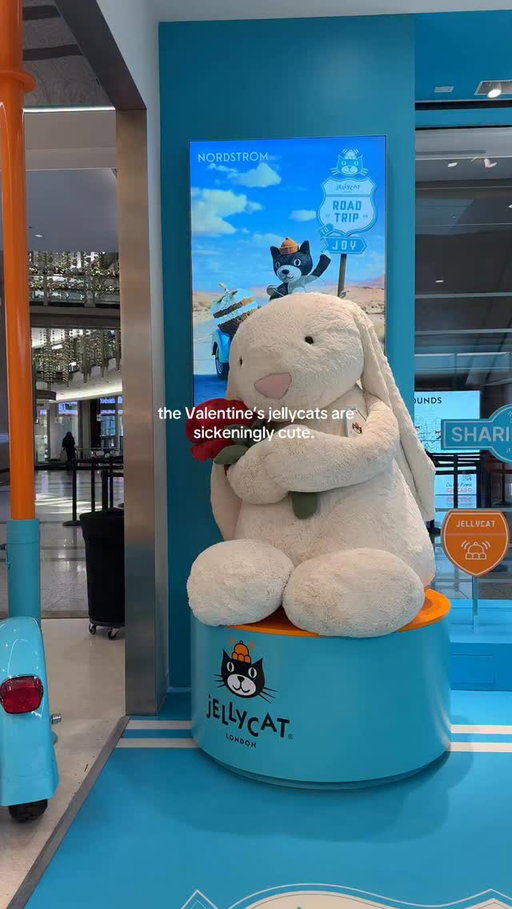 If my husband asks I’m a size pink macaroon in Jellycat this Valentine’s Day 

📍 Jellycat Chicago at Nordstrom on Michigan Avenue 

#jellycat #valentinesjellycat
