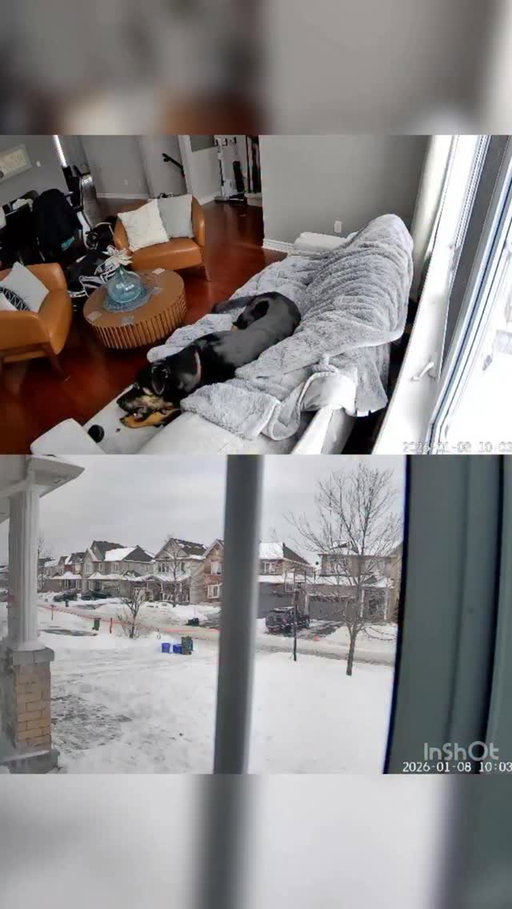 Firefighters quickly contained a fire in an Orléans home this morning and safely rescued a dog.🔥 

Interior security footage confirmed the dog had grabbed and chewed a heated skiing glove powered by a lithium-ion battery, damaging the battery and causing it to ignite on a couch.

‼️Safety reminder:

Damaged lithium-ion batteries can cause fires. Store battery-powered items safely, keep them away from pets and children, and stop using any battery that shows signs of damage, swelling, or overheating.

@catherine.kitts 
 
***

Les pompiers ont rapidement maîtrisé un incendie ce matin dans une résidence d’Orléans et ont secouru un chien.🔥

Les images ont confirmé qu’un gant de ski chauffant à batterie au lithium-ion, mâchouillé par le chien, a pris feu sur un divan.

‼️ Rappel de sécurité :

Les batteries au lithium-ion endommagées peuvent causer des incendies. Gardez-les hors de portée des animaux et des enfants et cessez de les utiliser si elles sont abîmées.