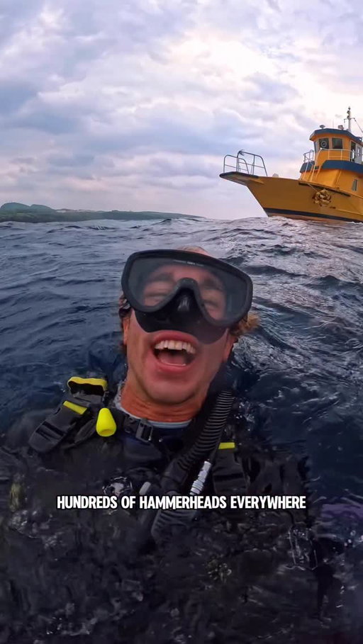 A DIVE OUT OF A DREAM 🤯🦈🇯🇵

This has to go down as one of the coolest diving experiences I’ve ever had! Scuba diving among a school of 100+ hammerhead sharks 🦈

This special dive takes place on Japan’s westernmost island, Yonaguni Island 📍🇯🇵

Huge thanks to the incredible team at @souwes_yonaguni for guiding us with unmatched local knowledge and safety every single dive! 

If this isn’t on your diving bucket list yet, it’s a 100% must — especially with the legends at @souwes_yonaguni 💙