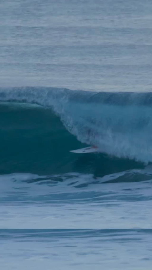 Out of the blue🩵🐬🌀 Nice to be back on the rock. Feliz de estar de vuelta en Hawáii! @cisurfboards // @hisarahlee