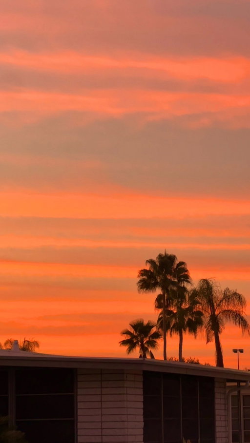 what happened to silly little playtime outside?… no matter how old you are 

the cotton candy sky speaks for itself 🌅🌴🌺🦋🐠🌈✨🌸

someone recently asked me why I’m in Florida right now for 1 and a half months… and honestly, because it’s beautiful and it’s a place where I can rest reset and work 🫶🏻

it doesn’t matter where you are in the world, whether it’s Asia, Africa, Iceland, Europe, Canada, the states… there is beauty ALL around us 🌎🌴🌺🌸⛵️✈️🌞🪸🐠 we just have to open our eyes and appreciate what’s around us xx 

#solotravel #florida #beadventurous #travel #sunsets
