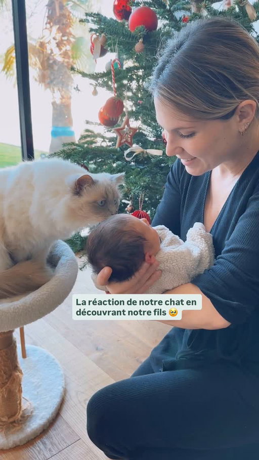Cette rencontre, on l’a imaginée 100 fois avec JC. On avait préparé Norway à ça pendant 9 mois, quand j’étais à la maternité, JC lui emmenait des affaires de Milo pour qu’il s’habitue à son odeur, mais comme Norway n’est pas très câlin, on ne savait pas du tout à quoi s’attendre. Finalement, il a été curieux et très mignon. Depuis, ces deux-là continuent de s’apprivoiser. Norway est en permanence avec nous, et proche de Milo, même la nuit quand j’allaite, quand il pleure, il va le voir, etc. 

Bref, on a hâte de voir quelle sera la suite de l’histoire ♥️🥹 
Et vous, racontez-moi vos rencontres bébé/animaux 🥹 ?
#communicationanimale #sacreedebirmanie #bebe2025 #mamanheureuse #creatricedecontenu