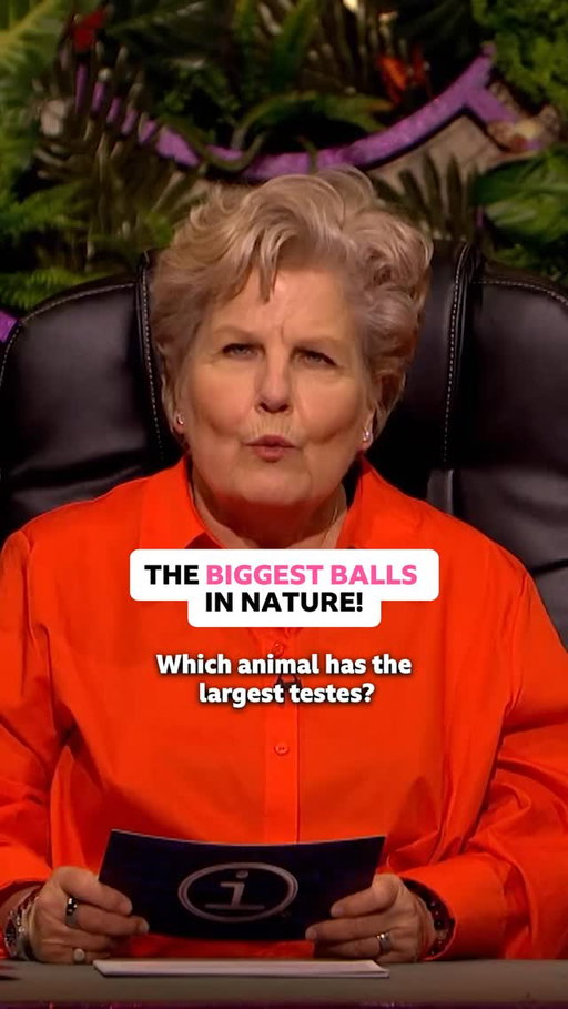 How big?! 🤯⁣
⁣
Sandi Toksvig, Alan Davies, Nabil Abdulrashid, Sam Campbell, and Holly Walsh swap funny facts on every subject under the sun. It doesn’t matter if they’re right, as long as they’re quite interesting.⁣
⁣
 #QI #Comedy #Quiz