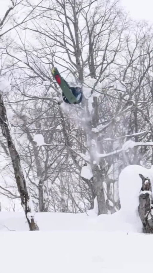 It’s always snowing in Zak’s pass.

*seen in “Cease & Desist” by BM