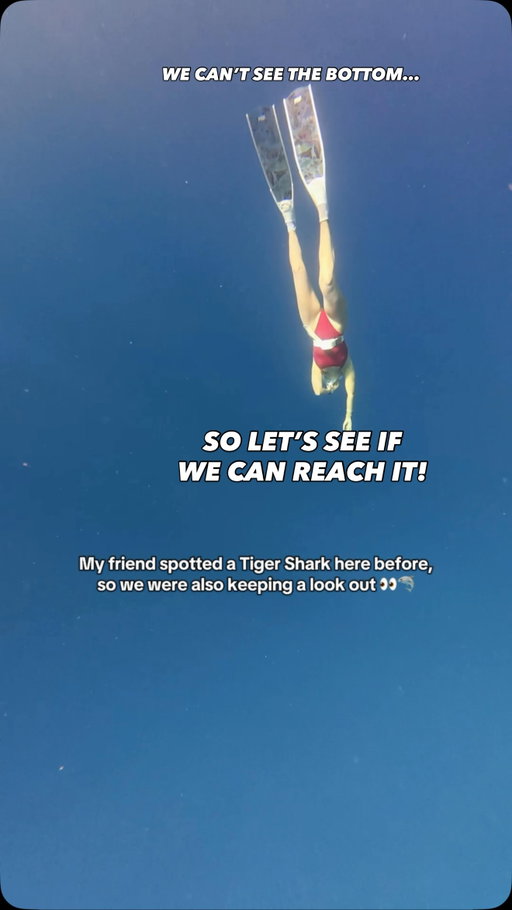 Can you hold your breath through the WHOLE video? 👀🫁🤿 Shallow water blackout is real, so never dive alone!

Wearing my @apple Watch Ultra 2 which shows the time and depth of each dive!⌚️

#freediving #ocean #hawaii #sharks #oceanlife