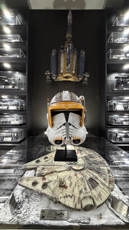 My Star Wars heaven ✨

#starwars #starwarsreplicas #starwarsprops #starwarscosplay #starwarscollection