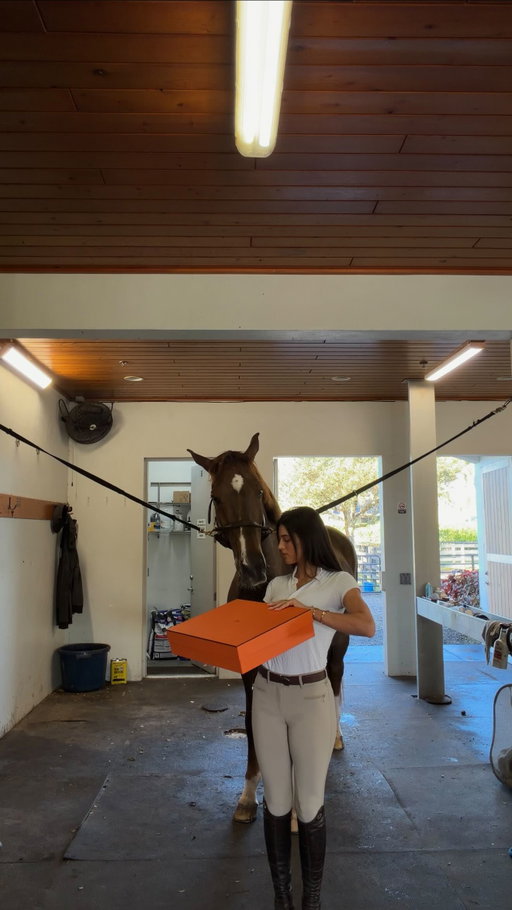 an in barn Hermes unboxing 🐴