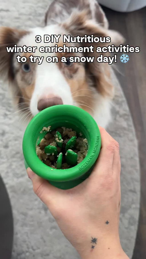 Shorter walks because it’s freezing? Totally fair.
Just remember: mental enrichment is just as important as physical exercise. A tired brain = a happy pup 🧠🐶