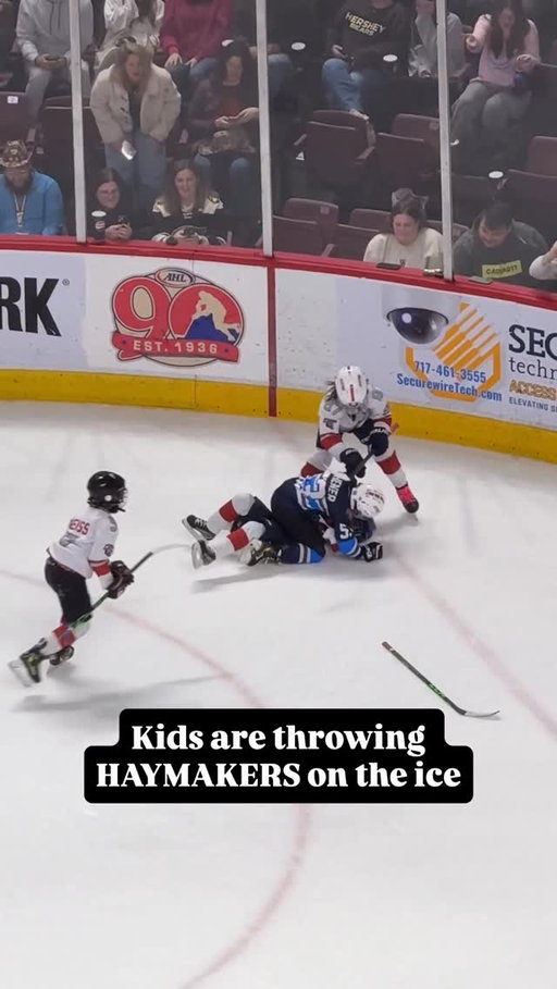 A FULL ON BRAWL BETWEEN THE LITTLE DUDES

(via @allieberube)