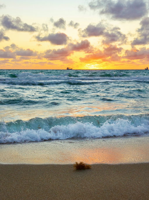 Weekend getaway! 🌊☀️👙⛱️🌴 Fort Lauderdale beach photo dump. 📸

#ftlauderdalebeach #ftlauderdale #beach #sunset #travelphotography