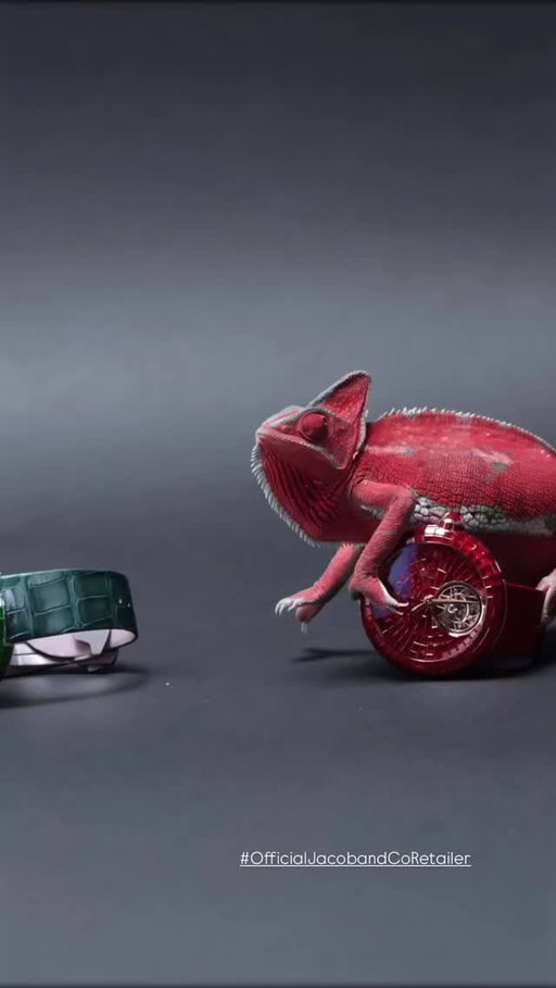 Just like this chameleon, the Brilliant & Caviar Flying Tourbillon are about transformation, versatility, and luxury. From fiery red to lush green to radiant yellow, each color tells its own story. Which one speaks to you?

#JacobAndCo #Inspiredbytheimpossible #LugaroJewellers #WestVancouver