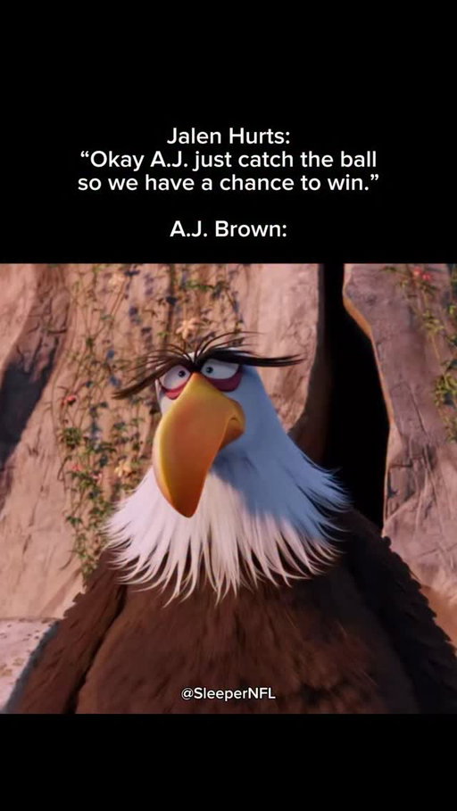 A.J. Brown might be washed ngl 😟 #ajbrown #eagles #nfl #playoffs